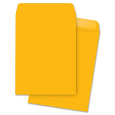 Business Source 42100 Catalog Envelopes, Plain, 9'' x 12'', 250/BX, Kraft