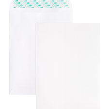 BSN 65450 Bus. Source Removable Strip Catalog Envelope BSN65450