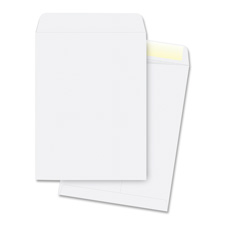 Business Source 42102 Catalog Envelopes, Plain, 28Lb., 9'' x 12'', 250/PK, WE