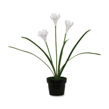 BAU 98041 Baumgartens White Iris Artificial Flowers BAU98041