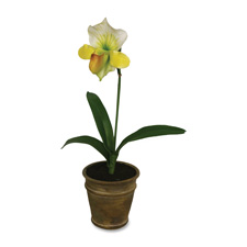 BAU 98042 Baumgartens Lady Slipper Artificial Flowers BAU98042