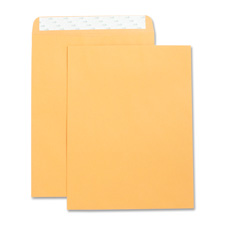 Business Source 42120 Catalog Envelopes, Self Seal, Plain, 9'' x 12'', 250/BX, Kraft