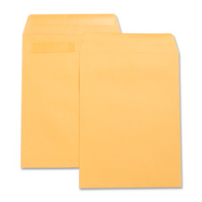 BSN 42123 Bus. Source Press-To-Seal Catalog Envelopes  BSN42123