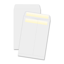 BSN 04647 Bus. Source Press/Seal Catalog Envelopes BSN04647