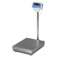 SBW S100300 Saltner Brecknell 300lb Capacity Floor Scale SBWS100300