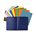 Ampad Double Pocket Leatherette Grade Portfolios