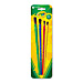 Paint Brushes / Rollers