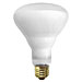 SLI Lighting 03201 Indoor Flood Reflector, 65 Watt, 130 Volts, Clear, SLT03201, SLT 03201