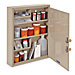 MMF Industries Dual-Locking Drug Cabinet
