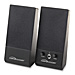 Compucessory Economy Speakers