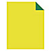 Pacon Tandem Tones Yellow/Green Poster Board