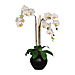 Baumgarten's Elegant Orchid Artificial Flowers, BAU98048