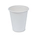 Baumgarten's Sugar Cane Hot Liquid Cups