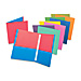 Esselte Twin-pocket Portfolio w/ Fasteners