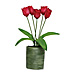 Baumgarten's Handmade Artificial Flowers in Pots, BAU98043