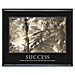 Advantus 78161 Motivational Poster, ''Success'', 30'' x 24'', Scratch-Rest, BK, AVT78161, AVT 78161