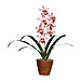 Baumgartens 98045 Artificial Flower, Cymbiium Promise, 7'' x 7'' x 21-1/4'', BAU98045, BAU 98045