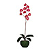 Baumgartens 98046 Artificial Flower, Sweetheart Orchid, 7-3/4'' x 7-3/4'' x 21-1/4'', BAU98046, BAU 98046