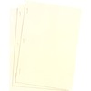 Looseleaf Minute Book Ledger Sheets, Ivory Linen, 14 x 8-1/2, 100 Sheet/Box