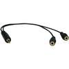 Audio Cables, 1 ft, Black, 3.5 mm Male; Two 3.5 mm Female