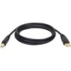 U022-010 10-ft. USB2.0 A/B Gold Device Cable A Male to B Male
