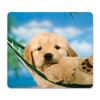 Recycled Mouse Pad, Nonskid Base, 7 1/2 x 9, Puppy in Hammock