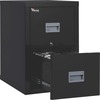 Patriot Insulated Two-Drawer Fire File, 17-3/4w x 25d x 27-3/4h, Black