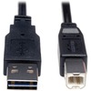 USB 2.0 Gold Cable, 6 ft, Black, USB A Male to B Male Device