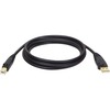 USB 2.0 Device Cable, A/B Gold, 15 ft, Black
