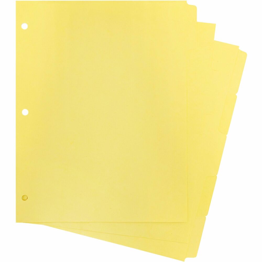 BSN16480 - Plain paper tab indexes feature 80 lb. stock and Mylar-reinforced edges that are three-hole punched with 9/32" holes. Write on these nonlaminated tabs or apply labels.