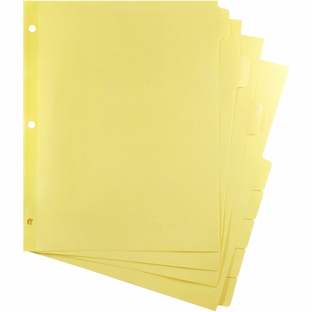 BSN16481 - Plain paper tab indexes feature 80 lb. stock and Mylar-reinforced edges that are three-hole punched with 9/32" holes. Write on these nonlaminated tabs or apply labels.