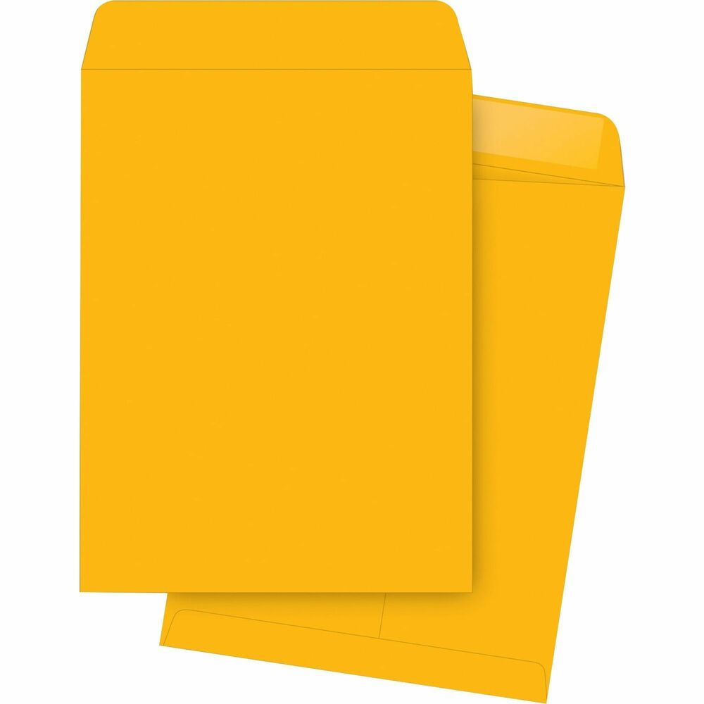 BSN42114 - Heavy-duty, all-purpose mailing envelopes are ideal for mailing documents, catalogs, direct mail, promotional material, brochures and more. 28 lb. opaque Kraft construction delivers privacy of contents. Open-ended style allows you to easily insert and remove items. Moisture-activated, gummed flap provides a secure seal. 9-1/2" x 12-1/2" size is perfect for documents without folding.