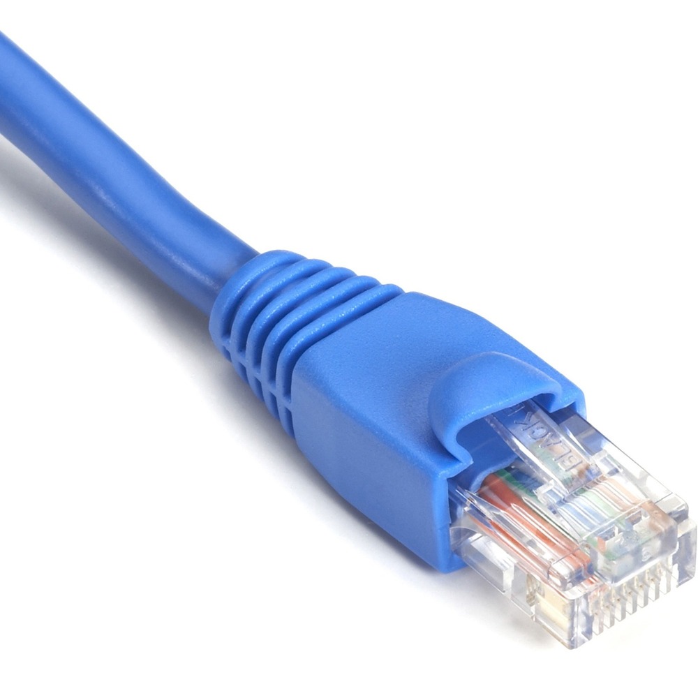BBNEVNSL8106IN