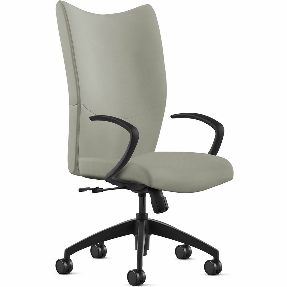 NTF2380S2A10L03 - Bristol High Back Task Chair provides a classy, professional touch to any space with its leather-upholstered, ergonomic design. Highly resilient, molded foam with a detailed, upholstered treatment creates optimized comfort and seamless support for your workflow. Sit in a relaxed position using fixed, cantilever arms. Pneumatic-cylinder height adjustment lets you customize height for an enhanced experience. Chair also features an upright lock, center knob tilt adjustment and 360-degree swivel. Five-star base with reinforced inner structure for durability provides smooth mobility. Chair is Greenguard certified to produce low chemical emissions. Maximum weight limit is 250 lb.