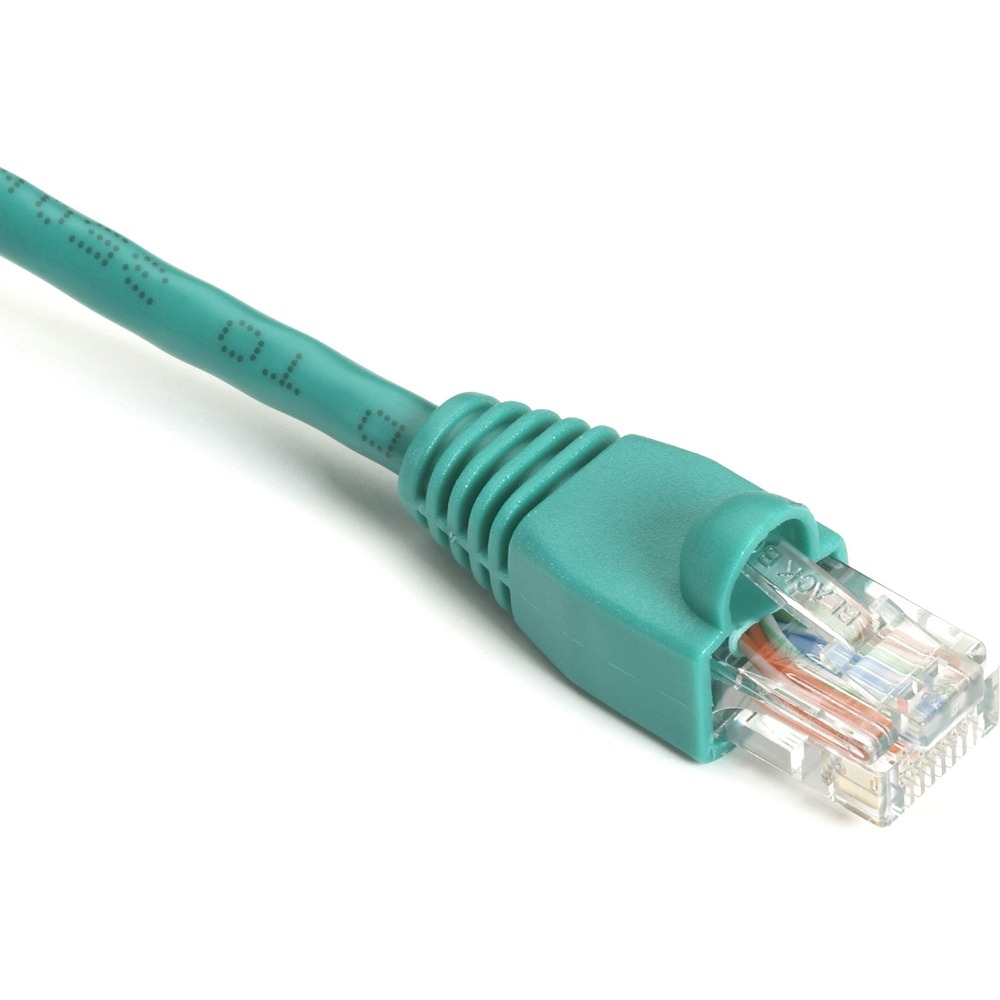 BBNEVNSL8206IN