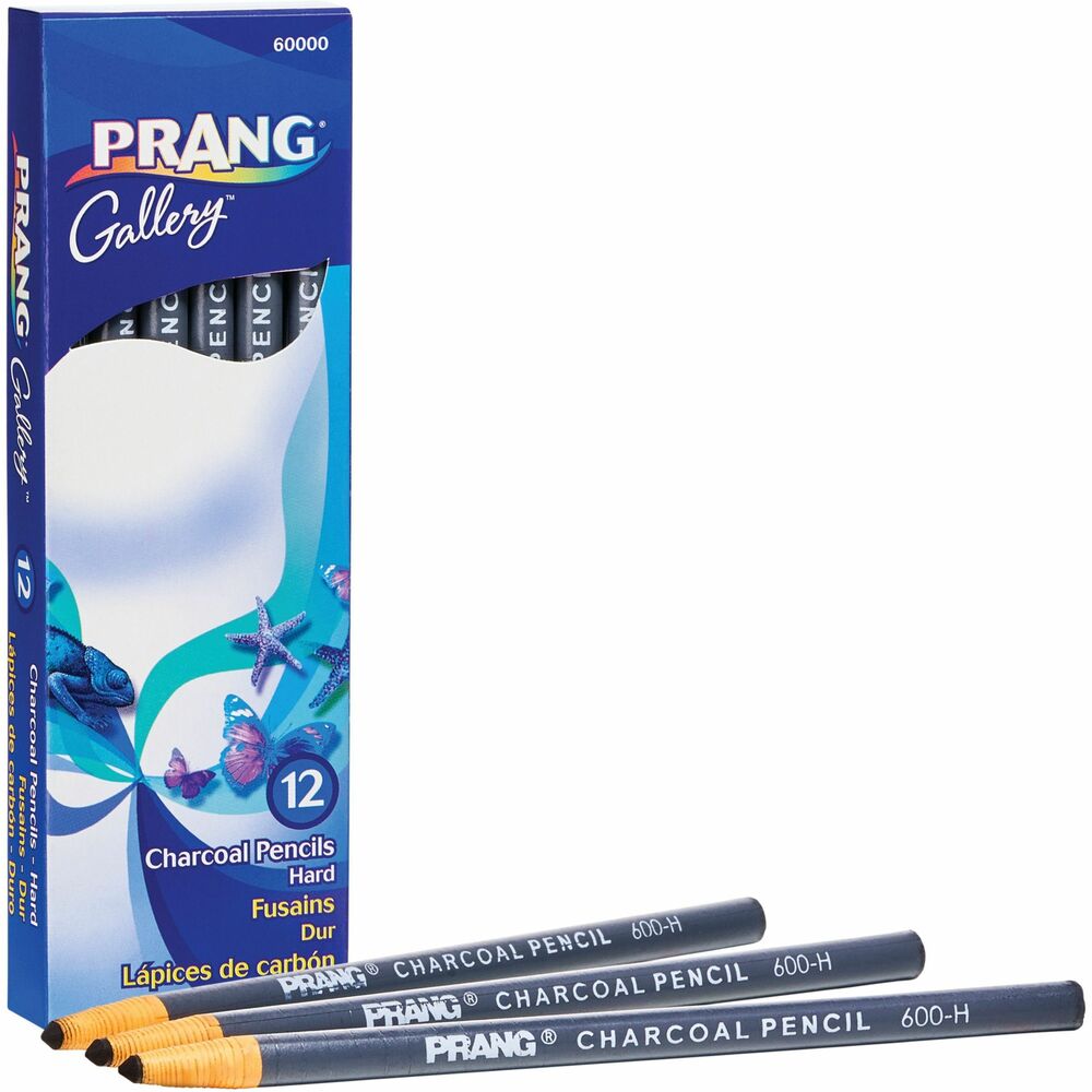 DIXX60000 - Charcoal Pencils offer fine quality that is suitable for anyone from the beginning artist to the professional illustrator. Each one is paper-wrapped for strength and cleanliness. Use the easy pull string for self-sharpening. Select, top-quality charcoal free of any impurities delivers uniquely smooth laydown. Charcoal Pencils are certified AP nontoxic.