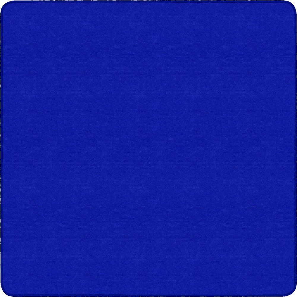 FCIBS70RB - Protect your floor and provide a comfortable place to sit with this traditional rug. Densitech construction offers a high fiber density to maintain an excellent level of strength through daily use. Antimicrobial treatment helps you maintain a germ-free environment by guarding against odor, mildew and mold. Invista nylon material is infused with Nexatron dye to ensure bright, lasting colors. Scotchgard Protector resists heavy soils so you can more effectively clean the rug after spills and accidents. Highly durable design is bound and double-stitched, serged edges for reliable strength and sturdiness.