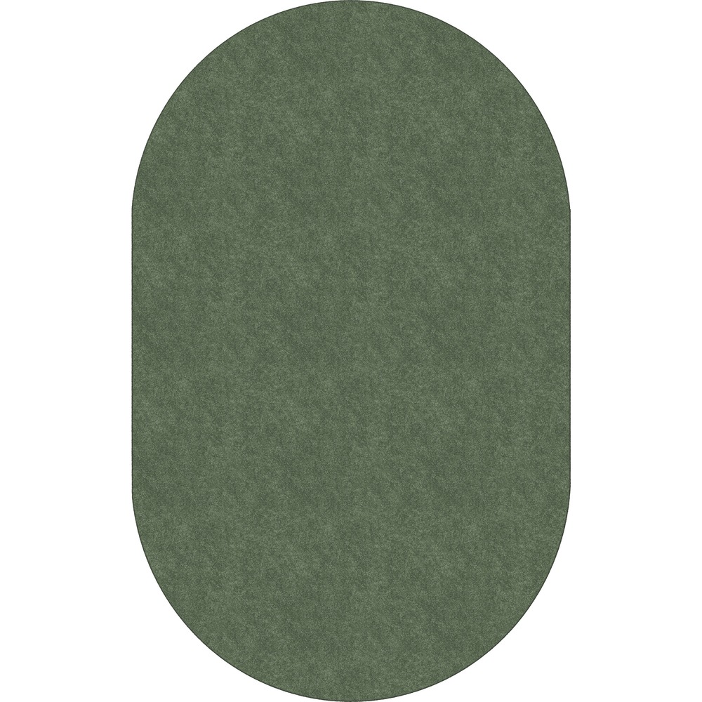 FCITS45SG - Amerisoft Solid Color Rug is made with exceptionally soft, bleach-resistant polyester. Improved strength and better abrasion-resistance outlast harsh treatments. It is also made from recycled soda and water bottles. Natural and permanent stain-resistance overcomes tough stains including urine. Excellent appearance retention keeps this long-lasting rug presentable through the years.