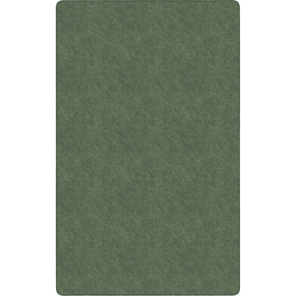 FCITS44SG - Amerisoft Solid Color Rug is made with exceptionally soft, bleach-resistant polyester. Improved strength and better abrasion-resistance outlast harsh treatments. It is also made from recycled soda and water bottles. Natural and permanent stain-resistance overcomes tough stains including urine. Excellent appearance retention keeps this long-lasting rug presentable through the years.