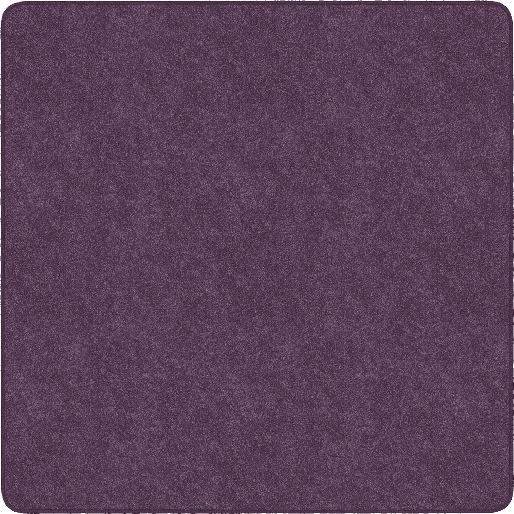 FCITS70PP - Amerisoft Solid Color Rug is made with exceptionally soft, bleach-resistant polyester. Improved strength and better abrasion-resistance outlast harsh treatments. It is also made from recycled soda and water bottles. Natural and permanent stain-resistance overcomes tough stains including urine. Excellent appearance retention keeps this long-lasting rug presentable through the years.