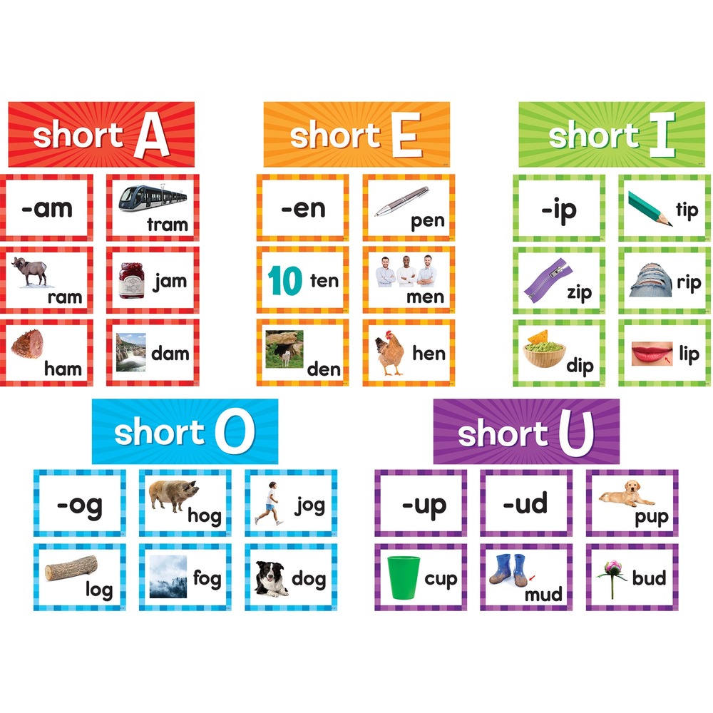 TCR20850 - Students quickly master pronunciation skills using these Short Vowels Pocket Chart Cards. Full set includes 205 total cards with five header cards for Short A, Short E, Short I, Short O and Short U. There are also short-vowel sound cards and short-vowel, picture word cards for an extended array of examples. Create your own examples using blank cards with write-on/wipe-off surface.