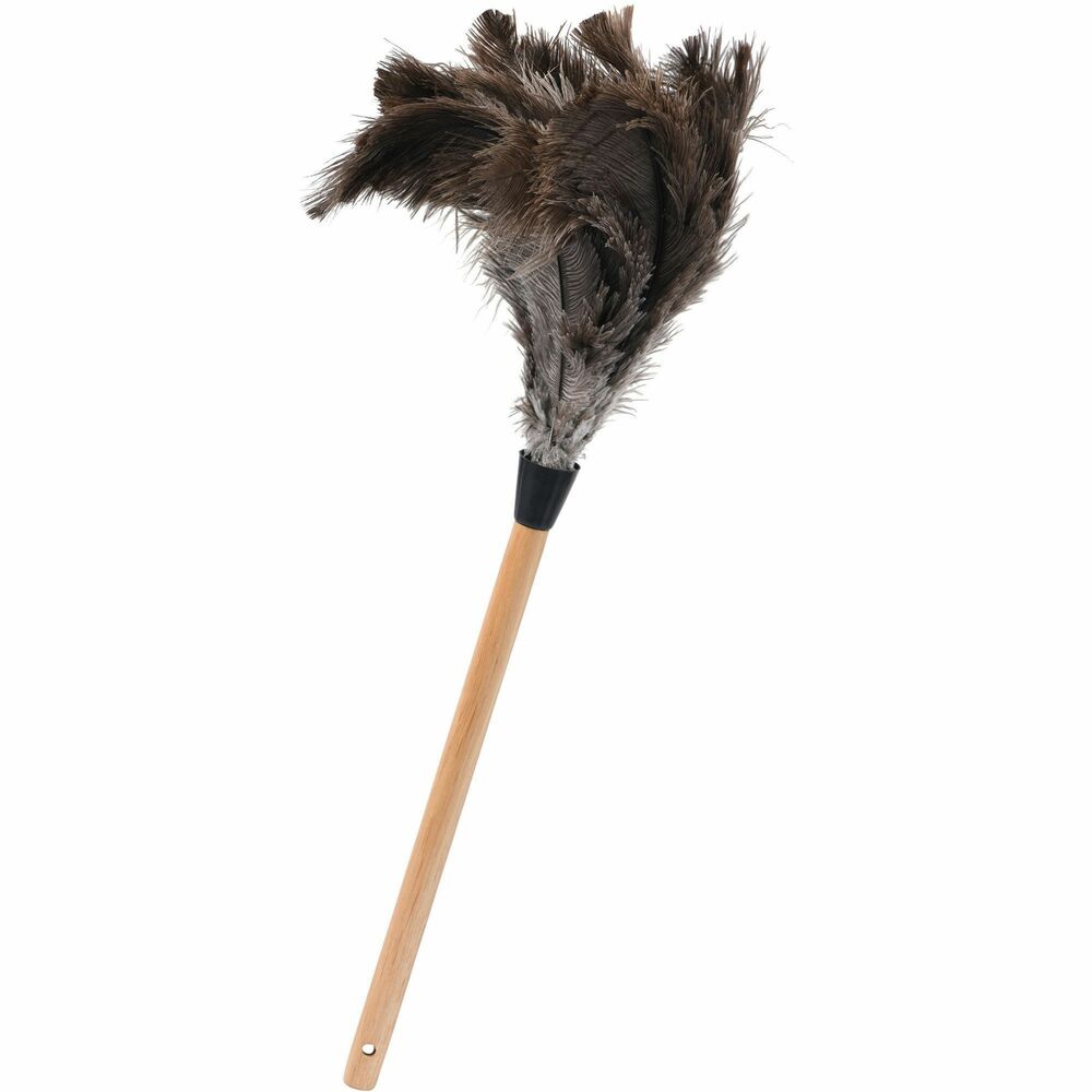 TCO41300 - Feather duster features fine, soft ostrich feathers to clean hard-to-reach dirt and dust. Comfortable wooden handle is 12" long for easy control. Total length is 23".