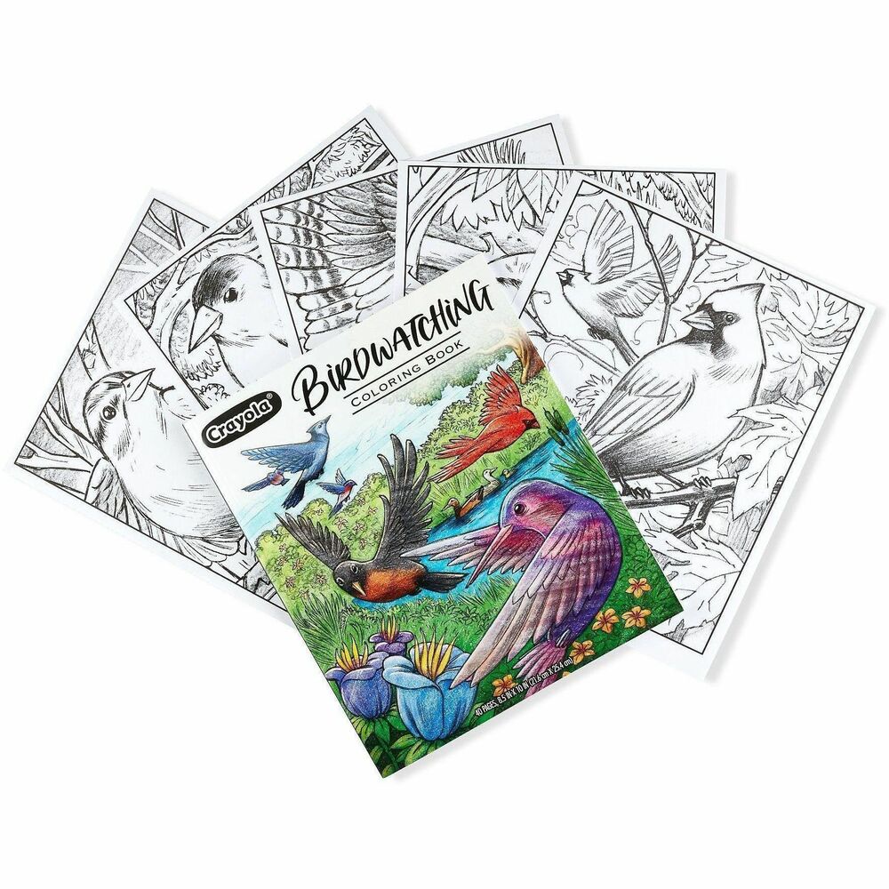 CYO041133 - Celebrate a sky full of feathered friends with the Crayola Birdwatching Coloring Book. Each of these pages presents stunning, lifelike scenes that celebrates the many species of Earth's winged wonders. Any one of these beautiful pages make lovely individual works of art. That's why each is perforated, making it easy to display once you've detailed it with color. This unique bird watchers' coloring book makes a wonderful gift on birthdays, holidays, and everyday gifting occasions. For a bundled gift idea, pair this coloring book with a collection of Crayola Colored Pencils or Crayola Crayons (sold separately) so that eager artists can let their colors fly right away!