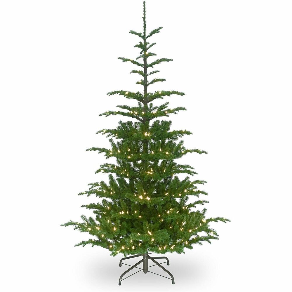 NLT729083277672 - 6-1/2' Norwegian Spruce Tree features Feel Real branch tip technology with crush-resistant tips molded from real branches for a lifelike appearance. This 6-1/2' tree with a 52" diameter base has a traditional cone shape and upswept branch design, and is pre-strung with 650 clear lights that remain lit even if a bulb burns out. Pre-attached, hinged branches make setup and storage easy. Hundreds of individually crafted branch tips create full-bodied, realistic branches. Made with durable, hypoallergenic, fire-resistant materials, it includes a sturdy metal stand and is designed to bring holiday cheer and a festive presence to any space.