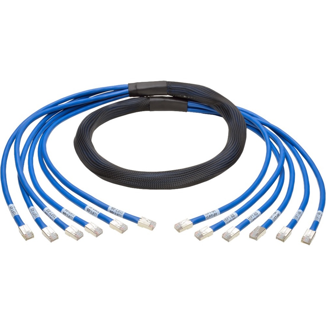 Tripp Lite N261-015-6MM-BL Cat.6a Patch Network Cable - 15 ft Category 6a Network Cable for Network Device, Switch, Patch Panel - First End: 6 x RJ-45 Network - Male - Second End: 6 x RJ-45 Network - Male - 10 Gbit/s - Patch Cable - Gold Plated Contact - 