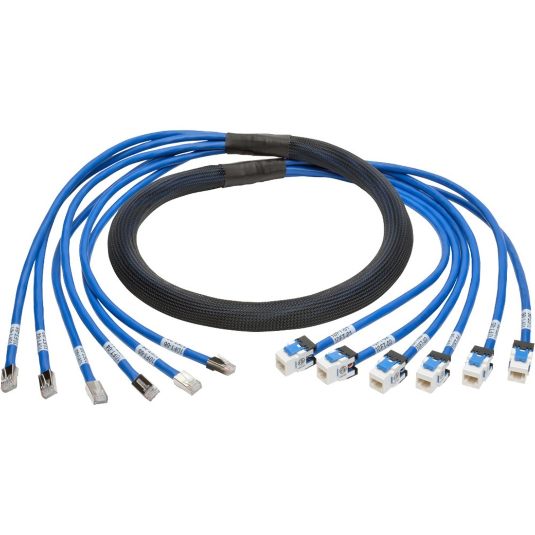 Tripp Lite N261-010-6MF-BL Cat.6a Patch Network Cable - 10 ft Category 6a Network Cable for Network Device, Switch, Patch Panel - First End: 6 x RJ-45 Network - Male - Second End: 6 x RJ-45 Network - Female - 10 Gbit/s - Patch Cable - Gold Plated Contact 
