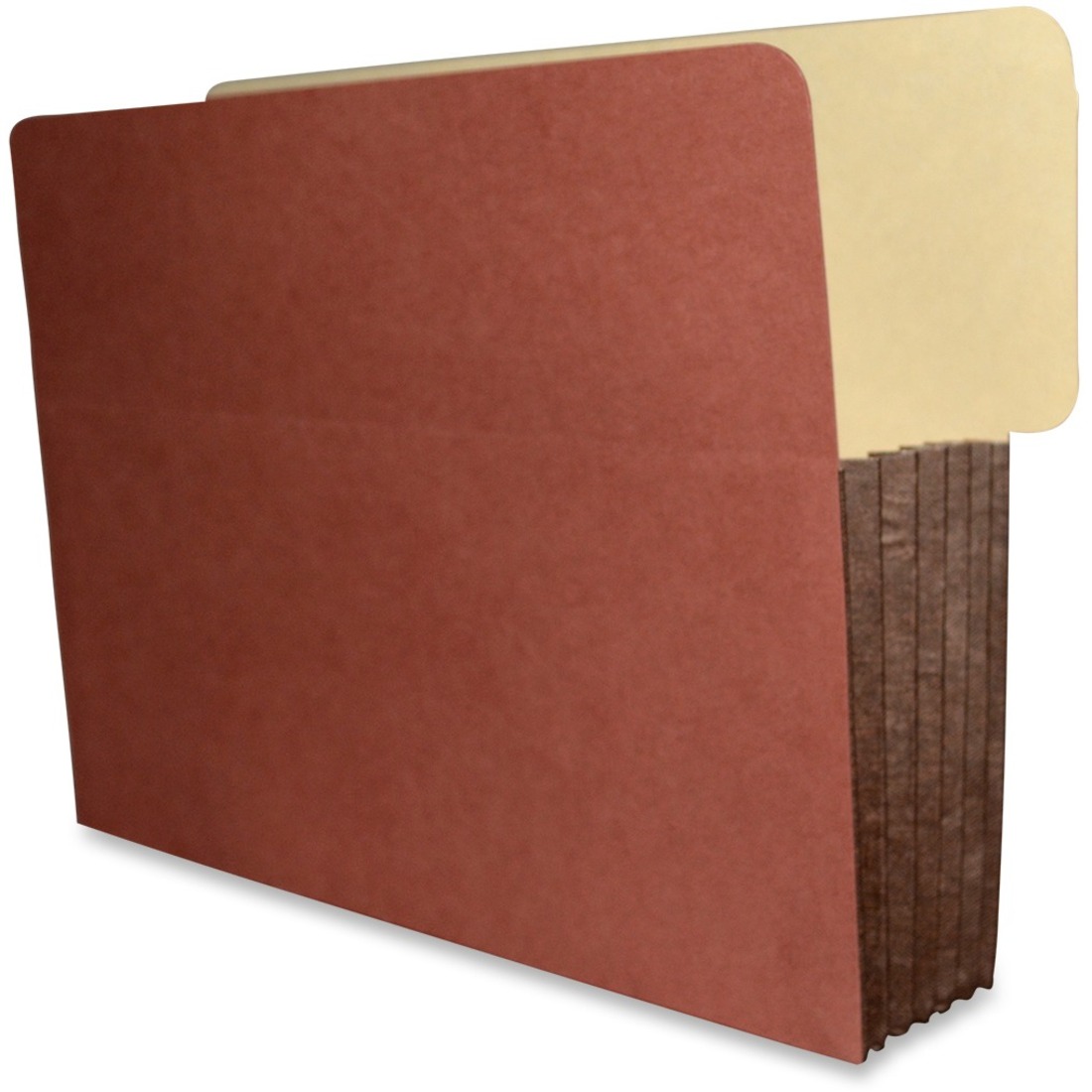 file folder protector