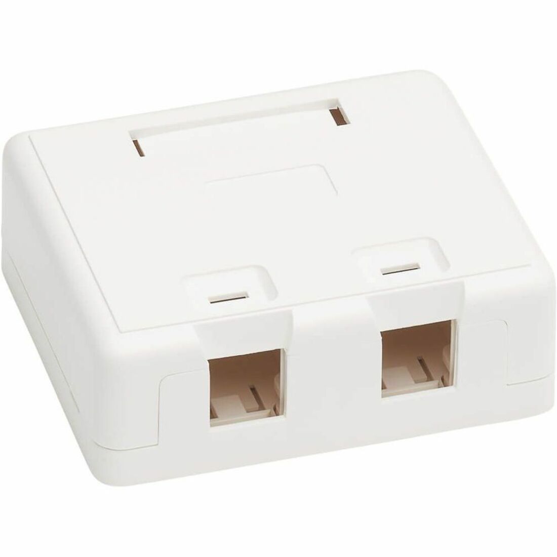 Tripp Lite Surface-Mount Box for Keystone Jacks - 2 Ports, White - 2 x Total Number of Socket(s) - White - Acrylonitrile Butadiene Styrene (ABS) - TAA Compliant