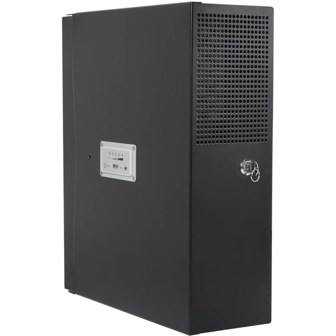 Tripp Lite Replacement Battery DMBB230V