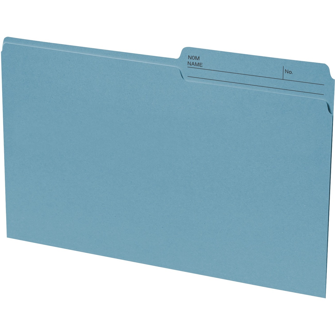 Basics® Coloured Reversible File Folders Legal Teal 100/box | Connors ...